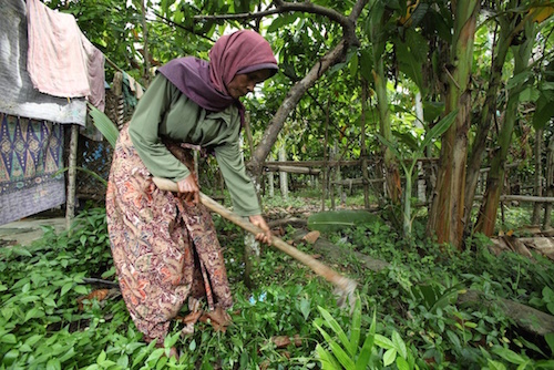 Rukiah working to feed her family - Anne-Cecile Esteve for Asia Justice and Rights (AJAR) Rukiah working to feed her family - Anne-Cecile Esteve for Asia Justice and Rights (AJAR)
