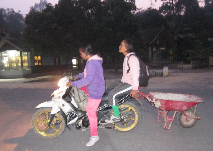 Commodifying conservation in Borneo